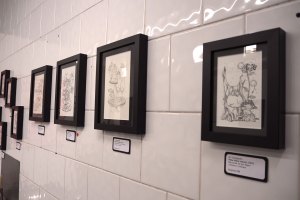 IMG-6
