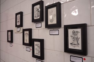 IMG-8